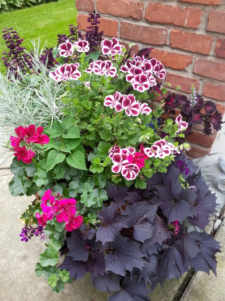 Container Gardens by A Southern Gardener - Photo 13