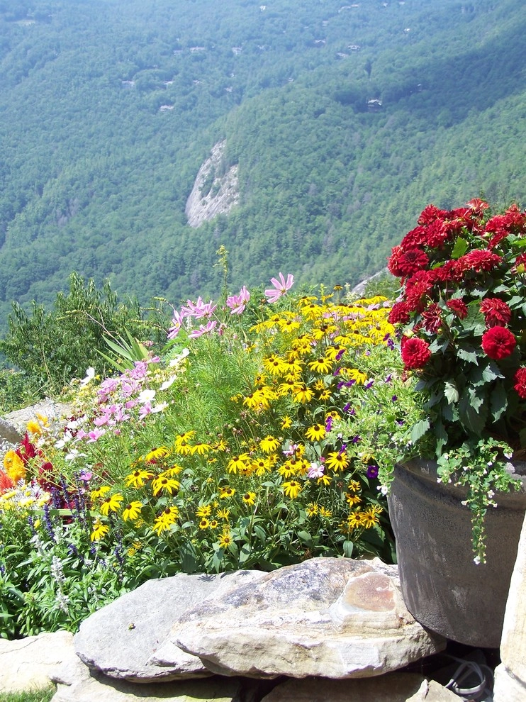 Ridgehaven, Landscape Design and Build by Four Seasons Landscape - Photo 14