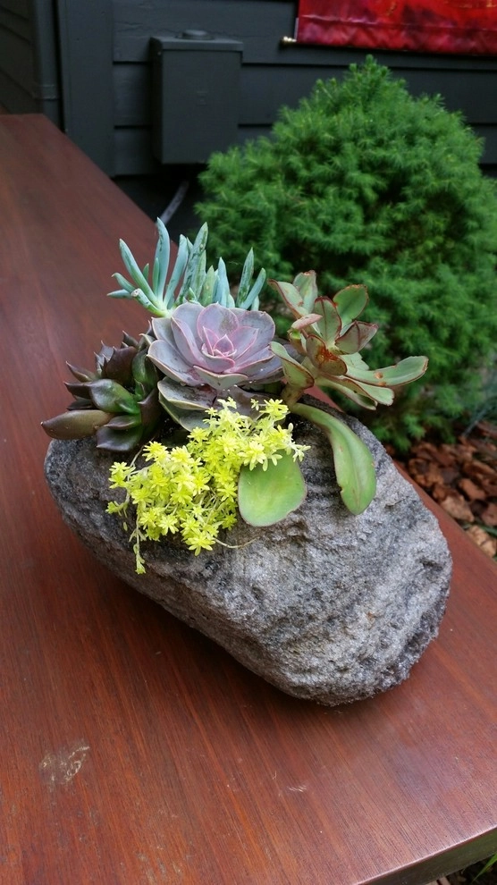 Container Gardens by A Southern Gardener - Photo 15