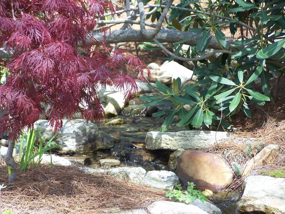 Robbin's Nest Landscape and Waterfall/Pond by Four Seasons Landscape - Photo 6