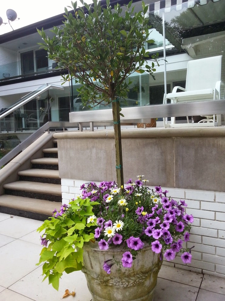 Container Gardens by A Southern Gardener - Photo 29