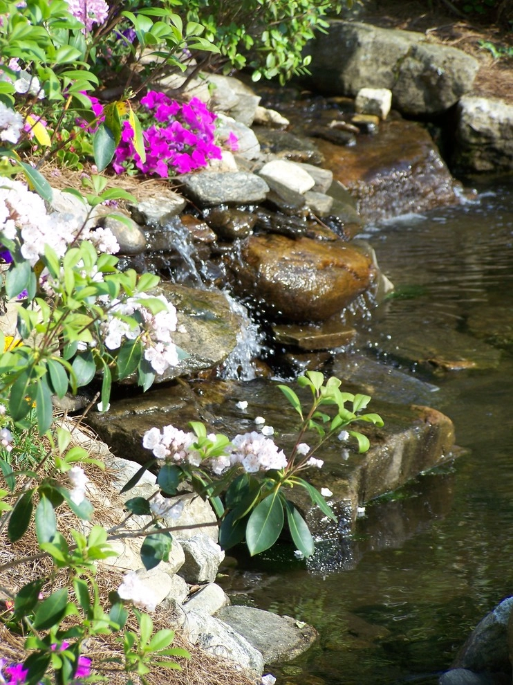 Four Seasons Landscape - Photo 5