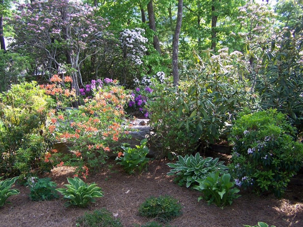 Four Seasons Landscape - Photo 11