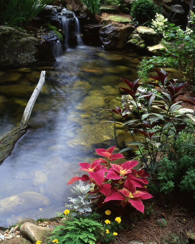 Four Seasons Landscape - Photo 14
