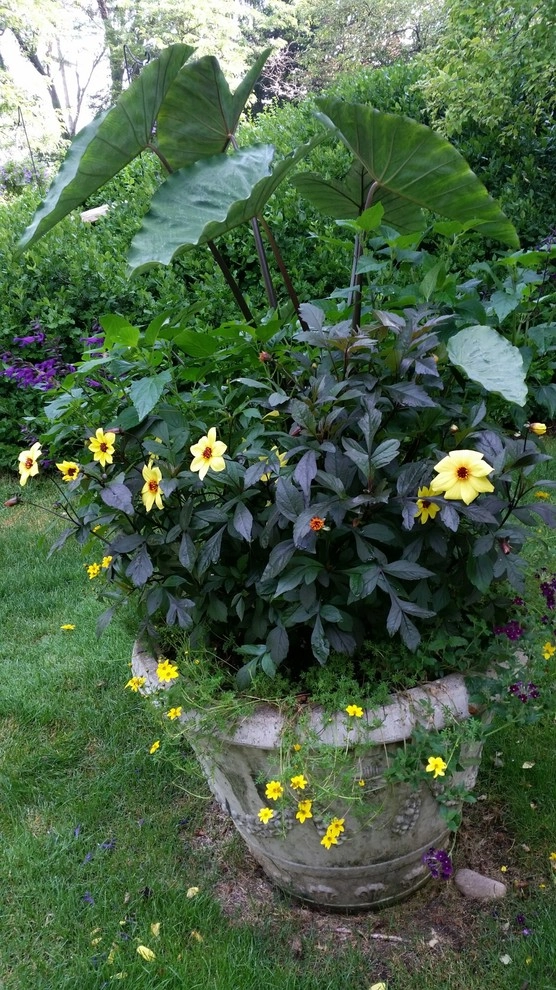 Container Gardens by A Southern Gardener - Photo 11