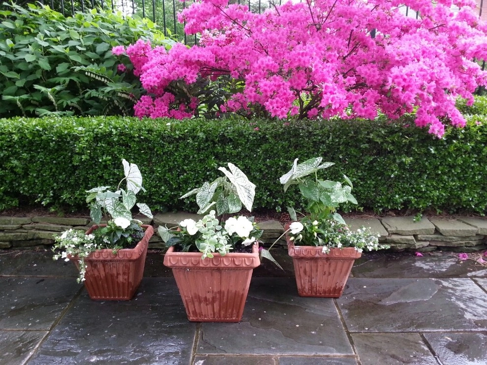 Container Gardens by A Southern Gardener - Photo 14