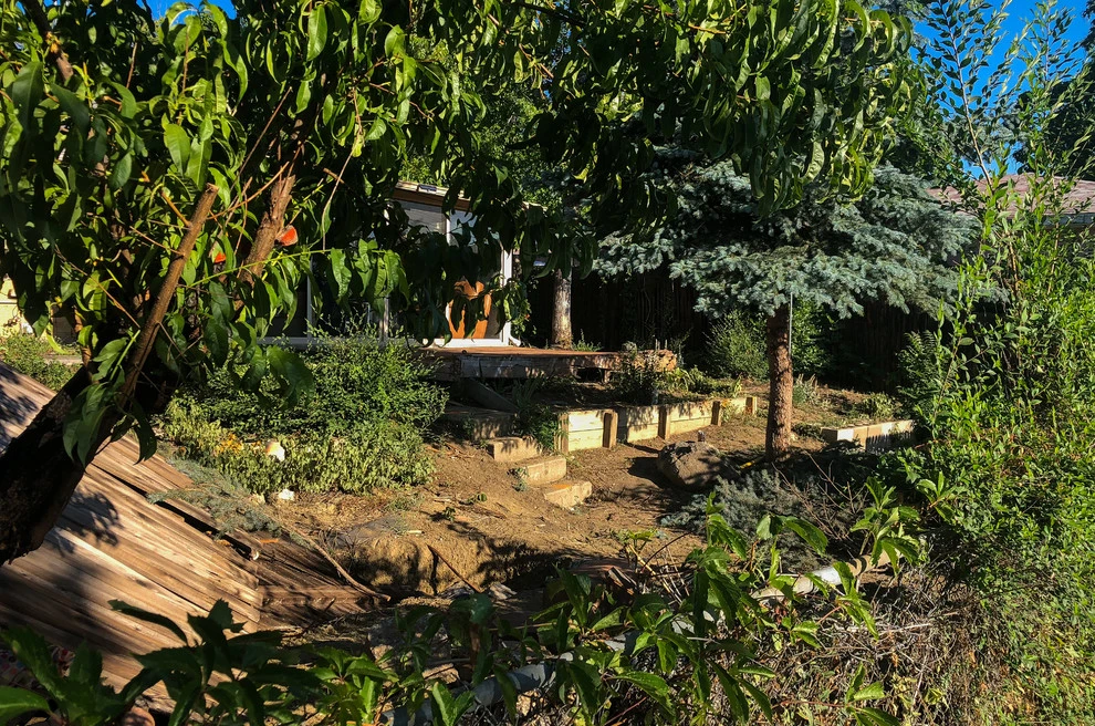 Northglenn by Carpio Landscaping LLC - Photo 3