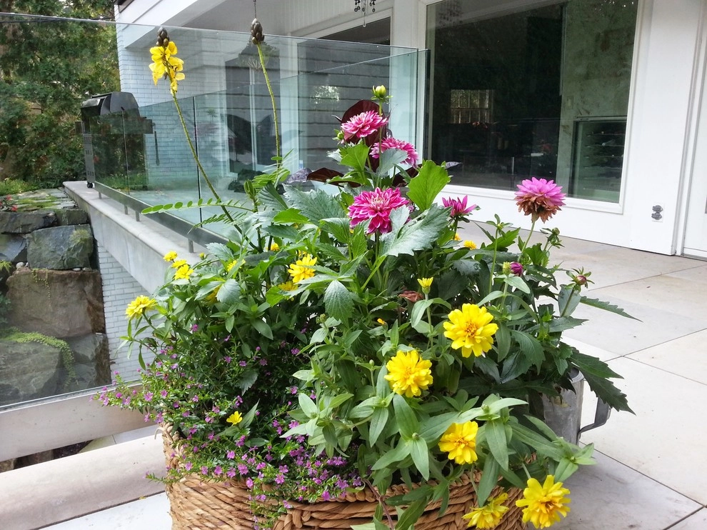 Container Gardens by A Southern Gardener - Photo 21