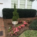 Foxy Foliage, Inc - Photo 6