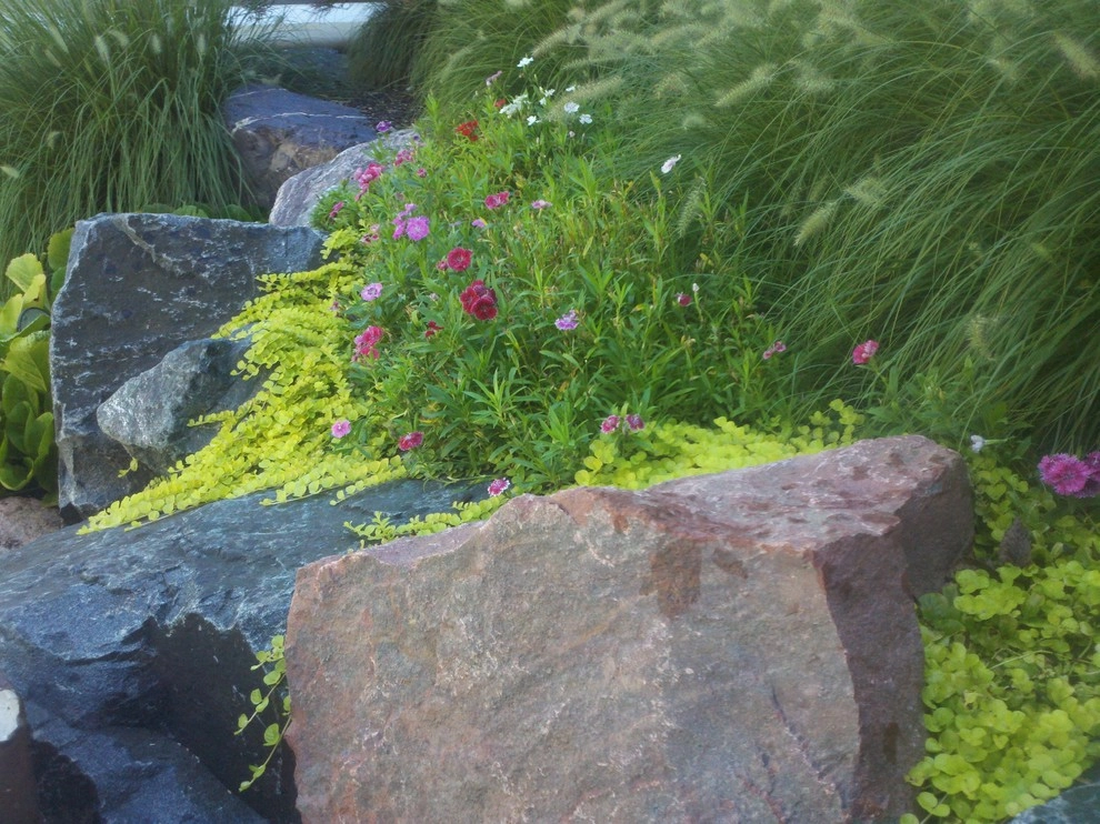 Rock Wall Garden by A Southern Gardener - Photo 2