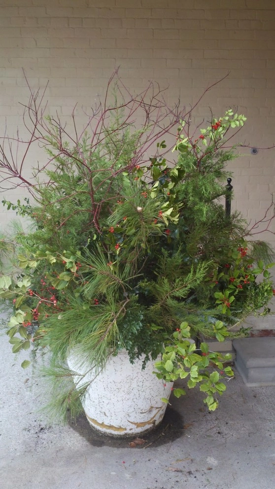 A Southern Gardener - Photo 9
