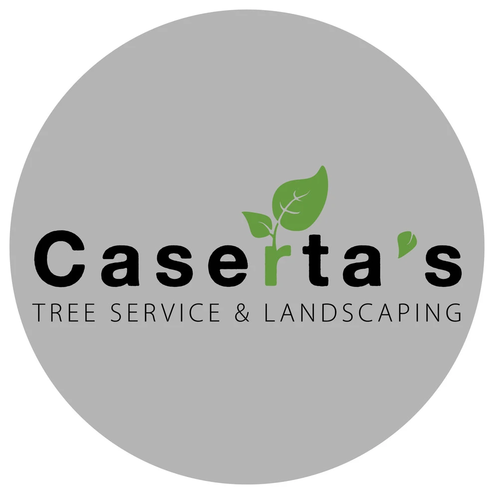 Caserta's Land Services - Photo 9