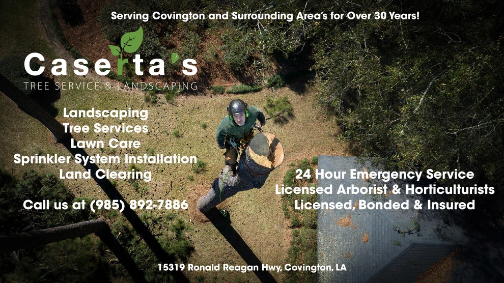 Caserta's Land Services - Photo 7