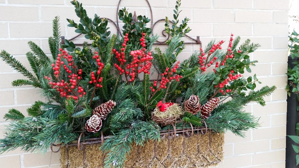 Winter Container Arrangements by A Southern Gardener - Photo 8