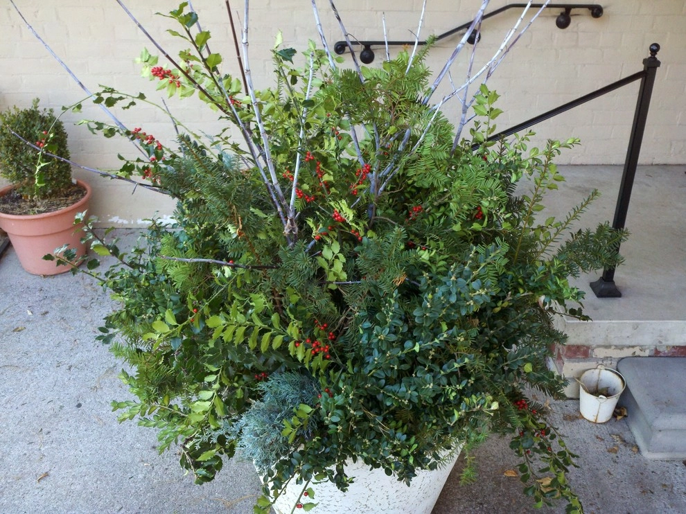 Winter Container Arrangements by A Southern Gardener - Photo 9