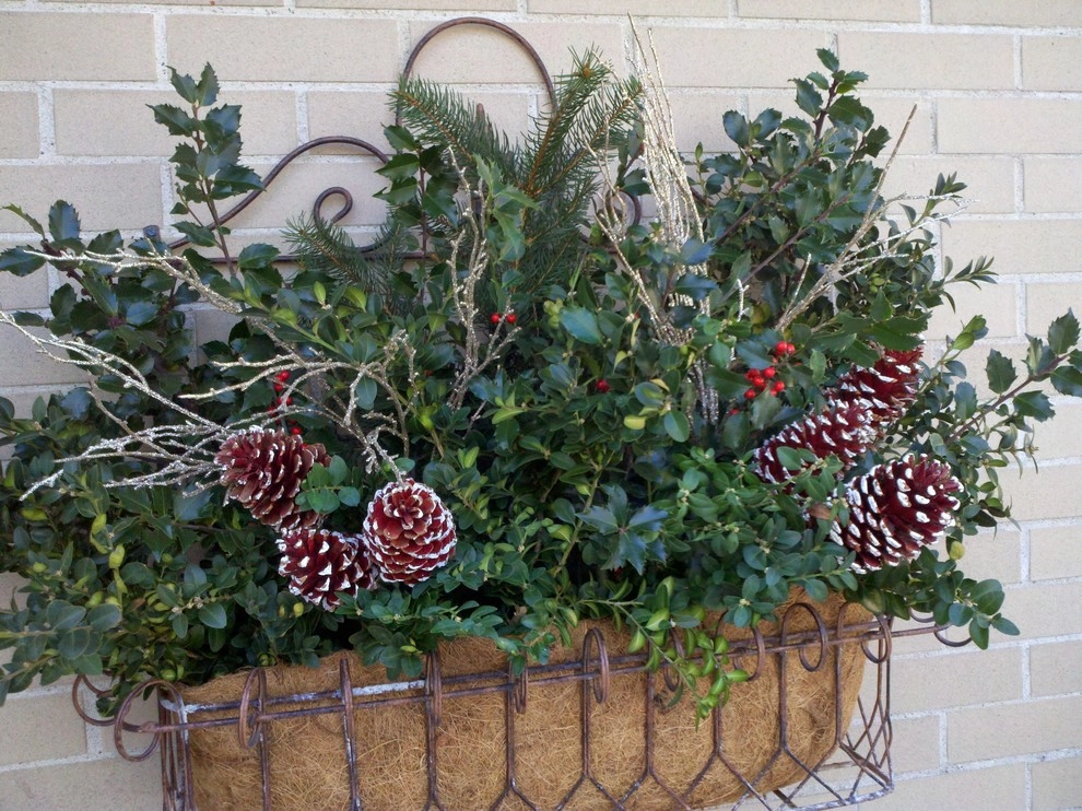 Winter Container Arrangements by A Southern Gardener - Photo 4