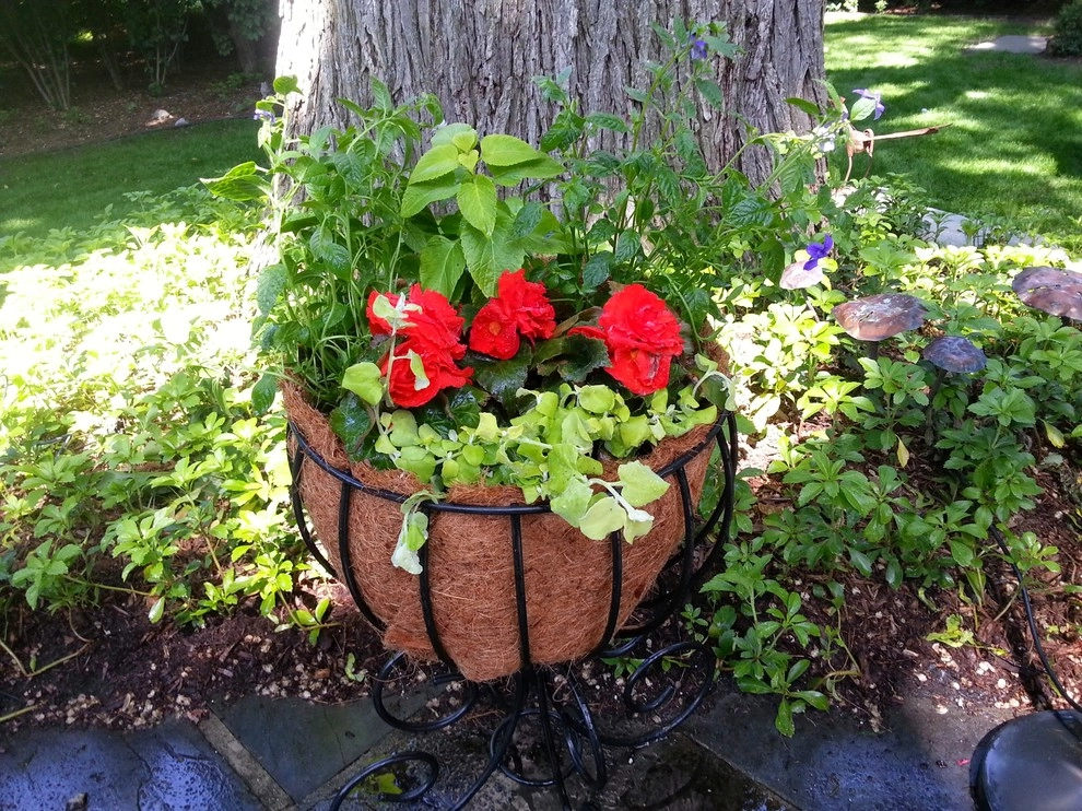 Container Gardens by A Southern Gardener - Photo 30