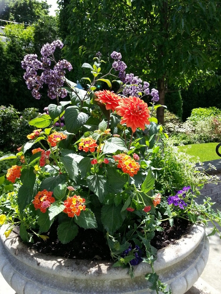 Container Gardens by A Southern Gardener - Photo 16