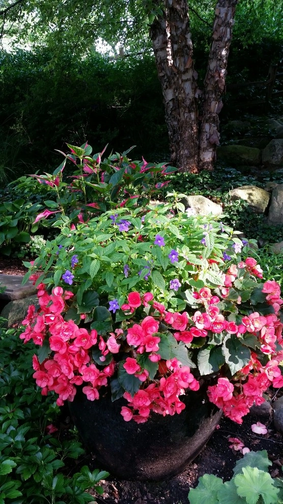 A Southern Gardener - Photo 13