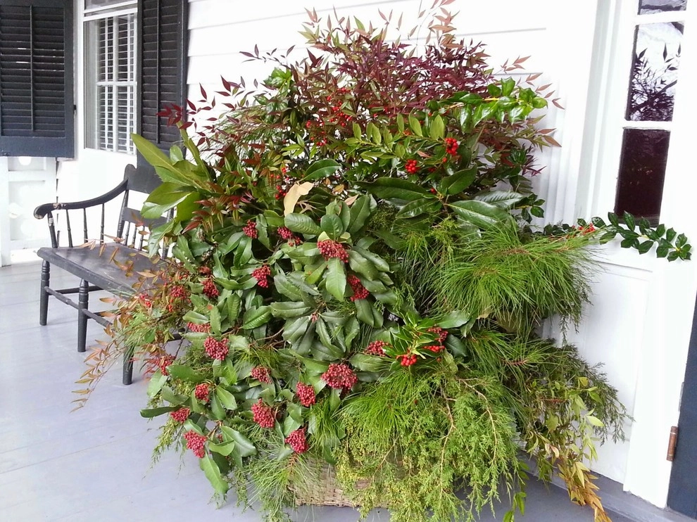 Winter Container Arrangements by A Southern Gardener - Photo 3
