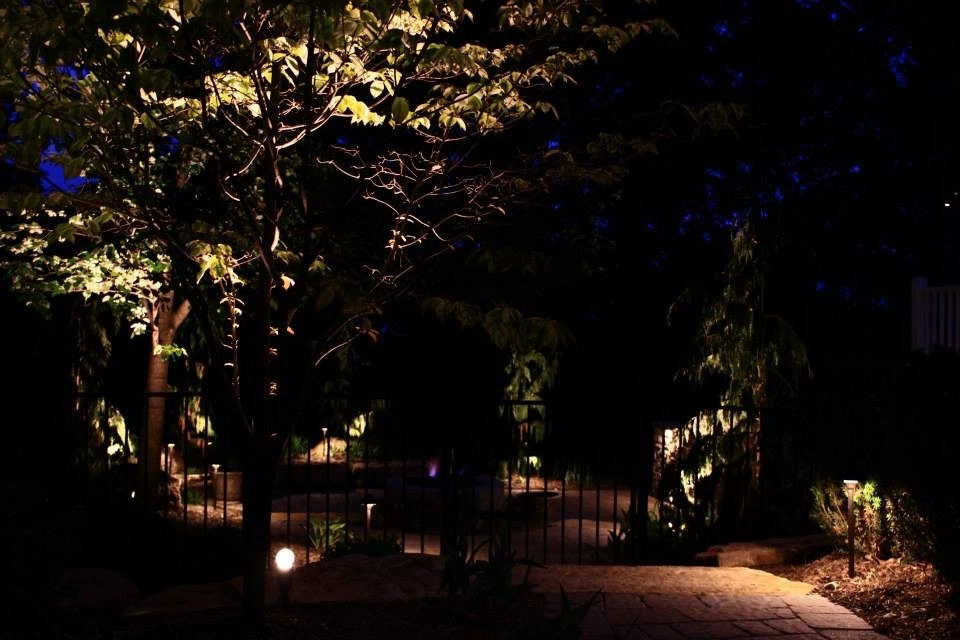 Frisella Outdoor Lighting - Photo 10