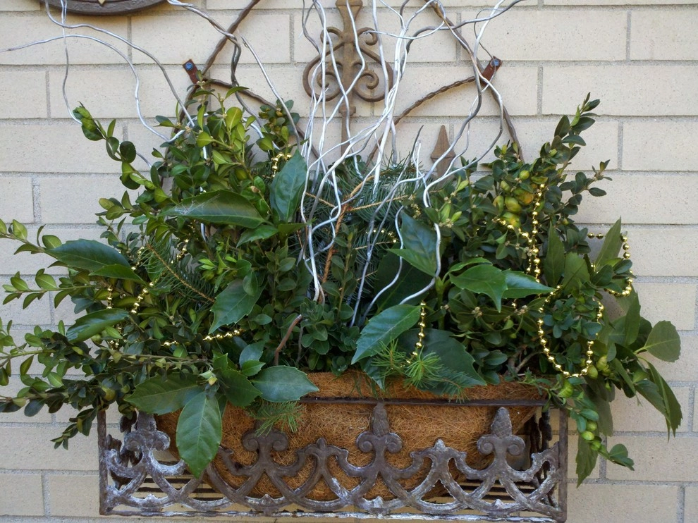 Winter Container Arrangements by A Southern Gardener - Photo 5