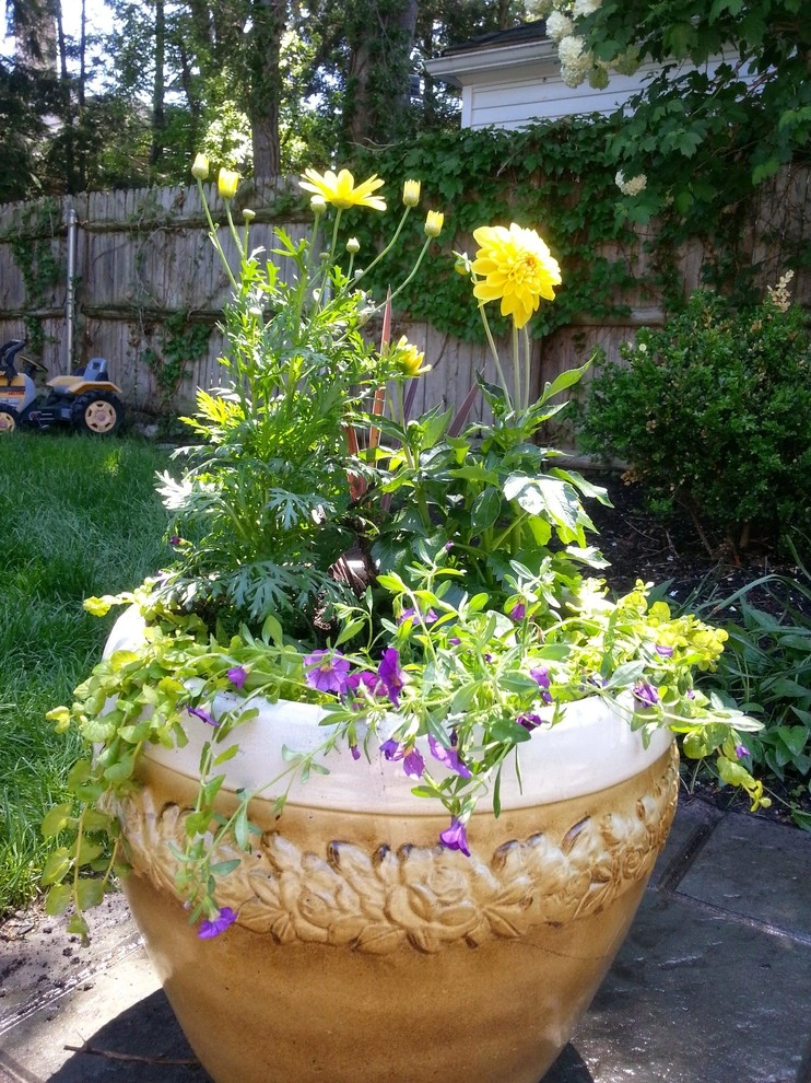 Container Gardens by A Southern Gardener - Photo 28