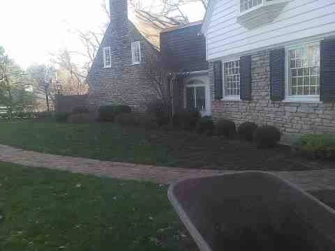 Alberto Alavez Professional Lawn Services LLC 4 by Alberto Alavez Professional Lawn Services LLC - Photo 3
