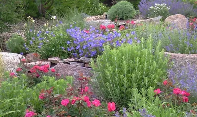 Chakur Design Group, LLC - Landscape Construction in Saint Louis, MO