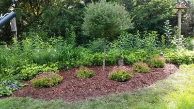 A Shady Retreat — Landscape Design project by A Southern Gardener