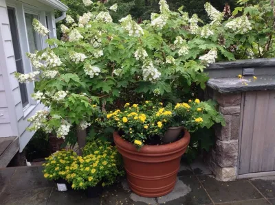 G. Biloba Gardens - Garden Remodeling in Nyack, NY