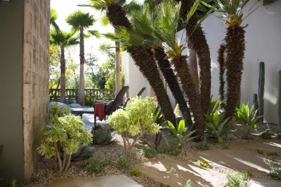 Mid-Century Modern; An Ode to Frey — Landscape Design project by Gabriela Yariv Landscape Design