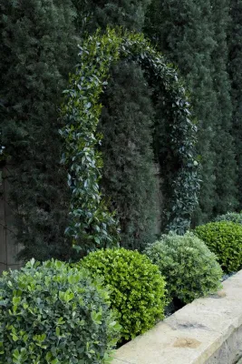 Gabriela Yariv Landscape Design - Garden Remodeling in Pasadena, CA