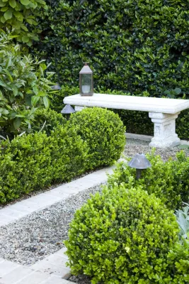 South Bay Provençal — Landscape Design project by Gabriela Yariv Landscape Design