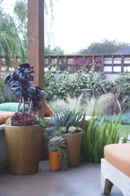 Whimsical Garden, Santa Monica — Landscape Design project by Gabriela Yariv Landscape Design