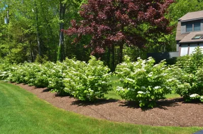 CL Design & Landscape LLC - Landscape Construction in Kennebunkport, ME