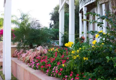 Gail Hartz & Associates - Landscape Design in Houston, TX