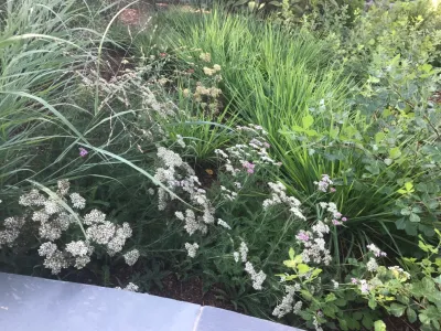 A2 Land Consulting, LLC - Landscape Design in New Fairfield, CT