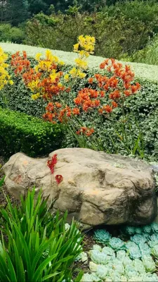 Garden Architecture - Landscape Construction in Berkeley, CA