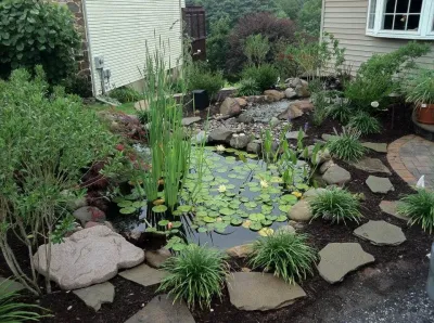 Conleyslightingandponds - Landscape Construction in Tampa, FL