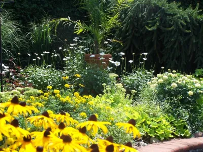 Annual/Perennials around Pool — Landscape Design project by Garden Designs By Jacqueline, Llc.