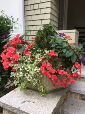 Garden Designs by Kristen - Tree Planting & Transplanting in Ipswich, MA