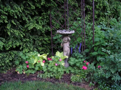 Garden Designs by Kristen - Tree Planting & Transplanting in Ipswich, MA