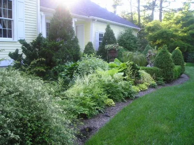 Garden Designs by Kristen - Tree Planting & Transplanting in Ipswich, MA