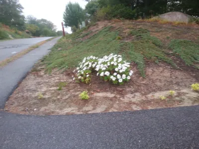 Creative Masonry & Landscape of Cape Cod - Landscape Construction in East Falmouth, MA