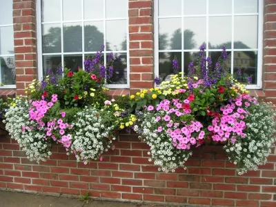 Garden Designs by Kristen - Tree Planting & Transplanting in Ipswich, MA