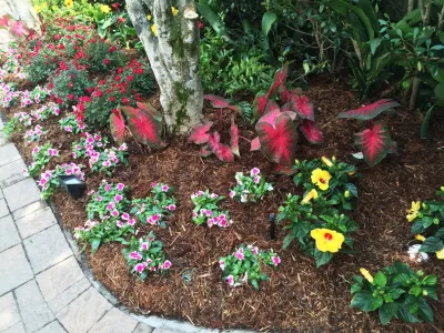 Garden Doctors Landscaping - Landscape Maintenance in New Orleans, LA