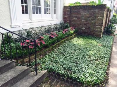 Garden District Courtyard — Landscape Design project by Garden Doctors Landscaping