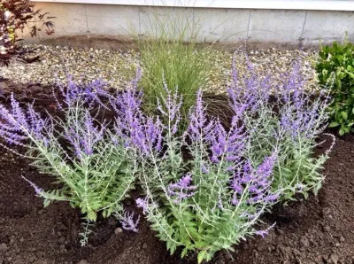 Concord NH - 2014 - South End — Landscape Construction project by CRW Landscaping LLC