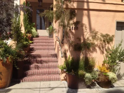 Container gardens — Landscape Design project by Garden Fantasia